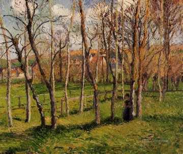  Pissarro Art Painting - meadow at bazincourt 1885 Camille Pissarro